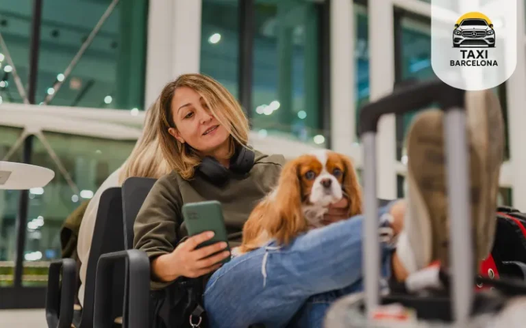taxi al aeropuerto de barcelona con mascotas
